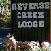 Reverse Creek Lodge - Cozy Cabins just 2 miles from Silver Lake.  Pillow top beds, full kitchens, barbeques and amazing views.
