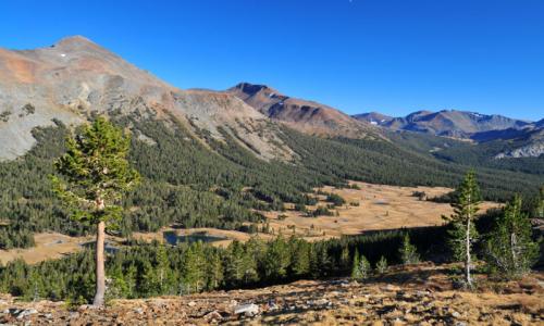 Yosemite Tioga Pass