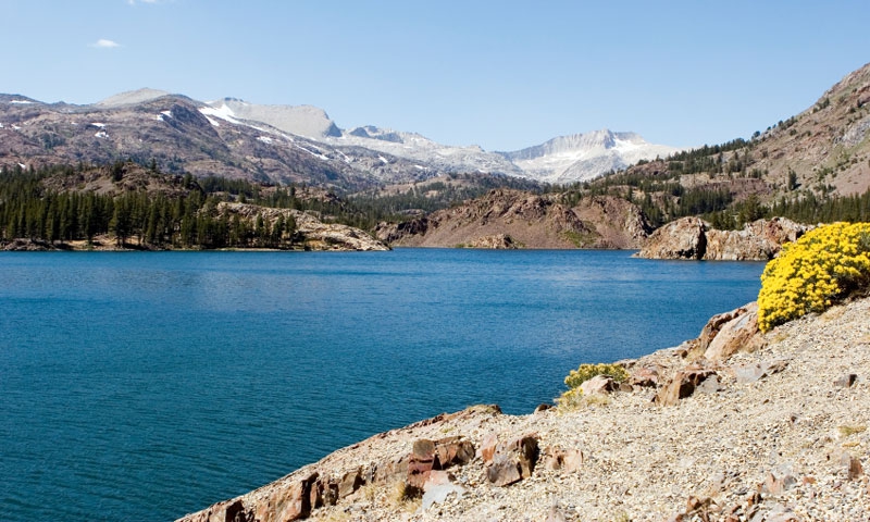 Ellery Lake along Tioga Pass in Yosemite National Park