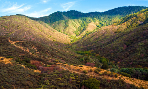 Kings Canyon National Park