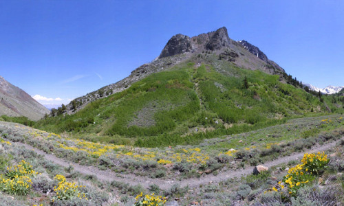 Hiking
