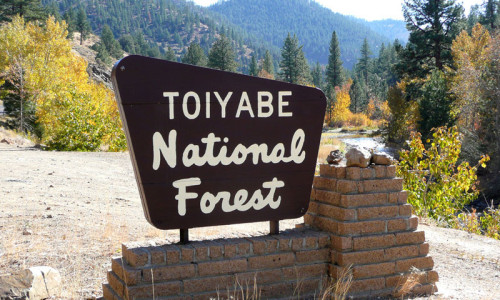 Toiyabe National Forest