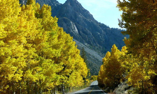 June Lake Loop