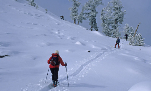 Backcountry Skiing
