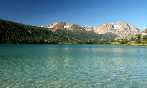 Vacation Packages